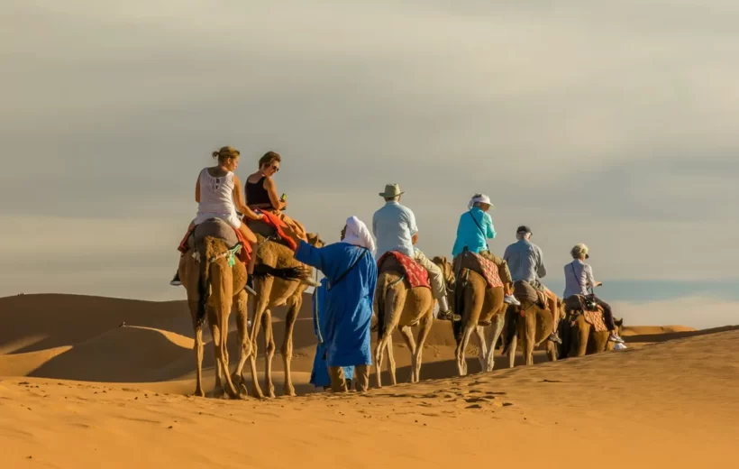 Camel Ride excursions